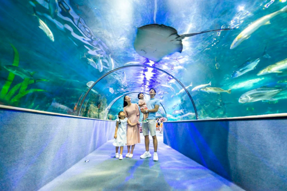 Children explore marine wonders and enjoy interactive learning games